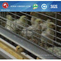 Farm Equipment Poultry Battery Cages for Broiler Chicken